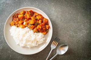 mapo tofu - il piatto tradizionale del Sichuan di tofu di seta e carne macinata, ricco di sapore di mala dall'olio di peperoncino e grani di pepe del Sichuan. foto