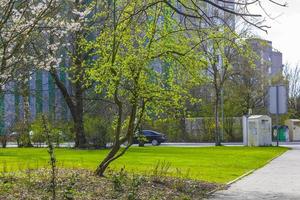 paesaggio urbano vita di città panorama Visualizza di bremerhaven Germania. foto