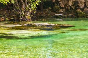 piccolo bellissimo cenote grotta con fiume turchese blu acqua Messico. foto
