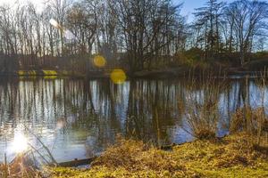 naturale panorama Visualizza lago sentiero verde impianti alberi foresta Germania. foto