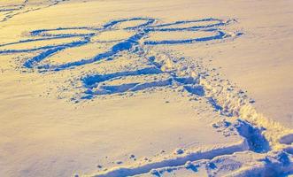 fiore disegnato nel il neve bremerhaven Germania. foto