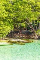 piccolo bellissimo cenote grotta con fiume turchese blu acqua Messico. foto