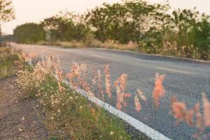 prato fiori, bellissimo fresco mattina nel morbido caldo luce. Vintage ▾ autunno paesaggio sfocato naturale sfondo. foto