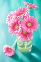 bellissimo bouquet di fiori gerbera rosa in vaso