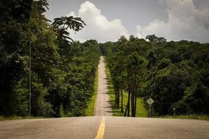 il asfalto strada su tutti e due lati di il strada era pieno con grande alberi. foto