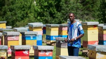 africano apicoltore Locale nero miele produttore foto