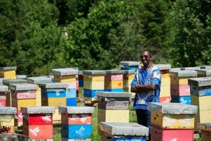 africano apicoltore Locale nero miele produttore foto