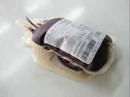 sangue donare Borsa foto
