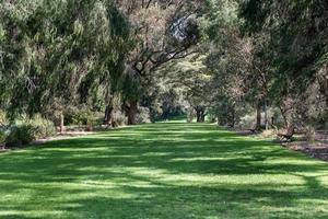 Perth botanico giardini ovest Australia foto