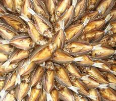 preservare cibo - superiore Visualizza di salato secco muggine pesce organizzare su bambù vimini. foto
