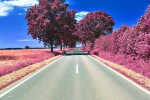 bellissimo viola infrarosso paesaggio nel alto risoluzione foto