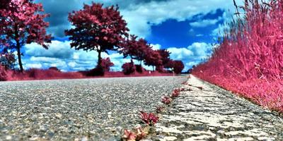 bellissimo viola infrarosso paesaggio nel alto risoluzione foto