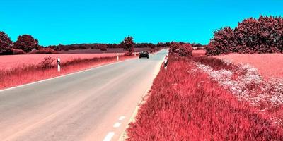 bellissimo viola infrarosso paesaggio nel assunzioni. foto