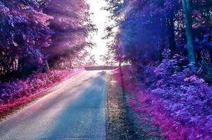 bellissimo viola infrarosso paesaggio nel alto risoluzione foto