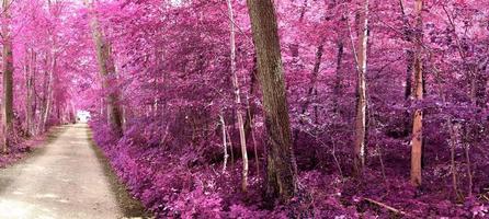 bellissimo panorama a infrarossi rosa e viola di un paesaggio di campagna con un cielo blu foto