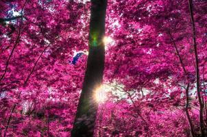 bellissimo panorama a infrarossi rosa e viola di un paesaggio di campagna con un cielo blu foto