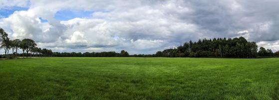 bellissimo panorama ad alta risoluzione di un paesaggio di un paese dell'Europa settentrionale con campi ed erba verde foto