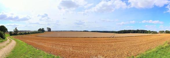 bellissimo panorama ad alta risoluzione di un paesaggio di un paese dell'Europa settentrionale con campi ed erba verde foto