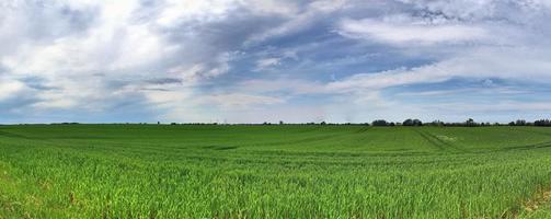 bellissimo panorama ad alta risoluzione di un paesaggio di un paese dell'Europa settentrionale con campi ed erba verde foto