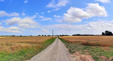 bellissimo panorama ad alta risoluzione di un paesaggio di un paese dell'Europa settentrionale con campi ed erba verde foto