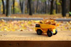 un' piccolo giocattolo giallo camion è caricato con giallo caduto le foglie. il auto sta su un' di legno superficie contro un' sfondo di un' sfocato autunno parco. pulizia e rimozione di caduto le foglie. di stagione lavori foto