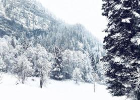 Hallstatt il trekking inverno nevicando nel il montagna paesaggio e il pino foresta verticale nel altopiano valle conduce per il vecchio sale il mio di Hallstatt, Austria foto