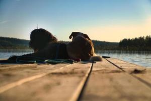 cane Gli amanti dire bugie su un' molo e guardare a il lago nel Svezia. Goldendoodle e mescolare foto