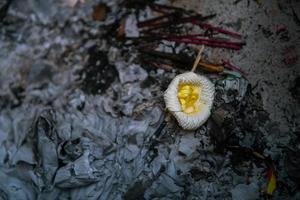 sandalo fiore per tailandese cremazione cerimonia foto