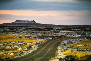 muschioso lava campo nel Islanda foto