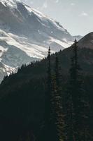 alberi ad alto fusto tra montagne piene di neve foto