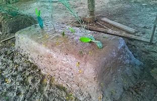 vicino su tradizionale islamico suolo argilla cimitero nel Tailandia. foto