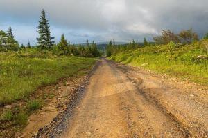 strada sterrata e ghiaia attraverso un bosco foto