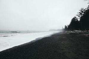 fotografia in scala di grigi della spiaggia foto