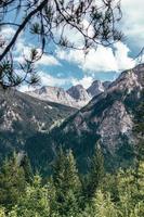 colline aride grigie e nere nell'orizzonte foto