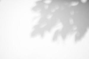 astratto naturale albero le foglie ombra su bianca parete sfondo foto