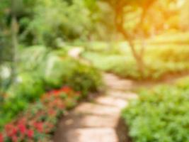 passerella nel giardino di fiori sfocatura dello sfondo foto