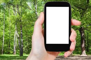 naturalista fotografie alberi nel foresta radura