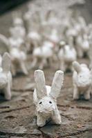 statue di coniglio bianco in gesso da vicino, mostra d'arte all'aperto, lepri bianche artificiali foto