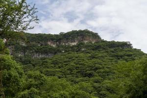 alberi inquadratura montagne, huentitan canyon nel guadalajara, montagne e alberi, verde vegetazione e cielo con nuvole, Messico foto