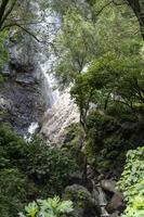 huentitan burrone nel guadalajara, pieno di vegetazione acqua cadente, parecchi cascate nel Messico foto