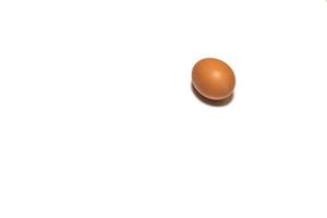 biologico Marrone pollo uovo su bianca sfondo foto