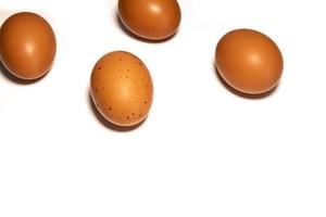 quattro Marrone uovo isolato su bianca sfondo foto