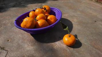 agrume frutta nel viola cestino su Cinese nuovo anno 02 foto