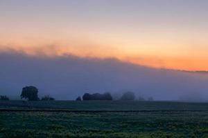 presto mattina Alba paesaggio con cespugli nel nebbia vicino fiume a estate foto