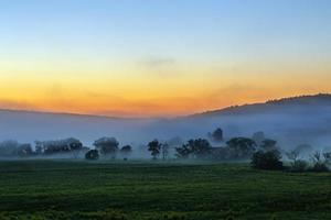 presto mattina Alba paesaggio con cespugli nel nebbia vicino fiume a estate foto