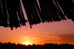 luce del sole su spiaggia con spiaggia ombrelli silhouette foto