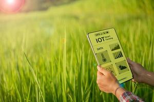 agricoltura tecnologia contadino Tenere digitale tavoletta o tavoletta tecnologia per ricerca di agricoltura i problemi analisi dati e visivo icona. inteligente agricoltura contadino utilizzando Internet di cose foto