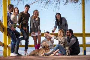 gruppo di amici avendo divertimento su autunno giorno a spiaggia foto