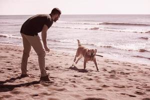 uomo con cane godendo gratuito tempo su il spiaggia foto
