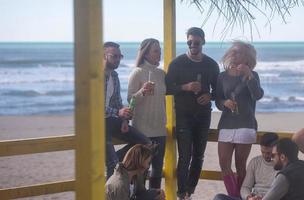 gruppo di amici avendo divertimento su autunno giorno a spiaggia foto